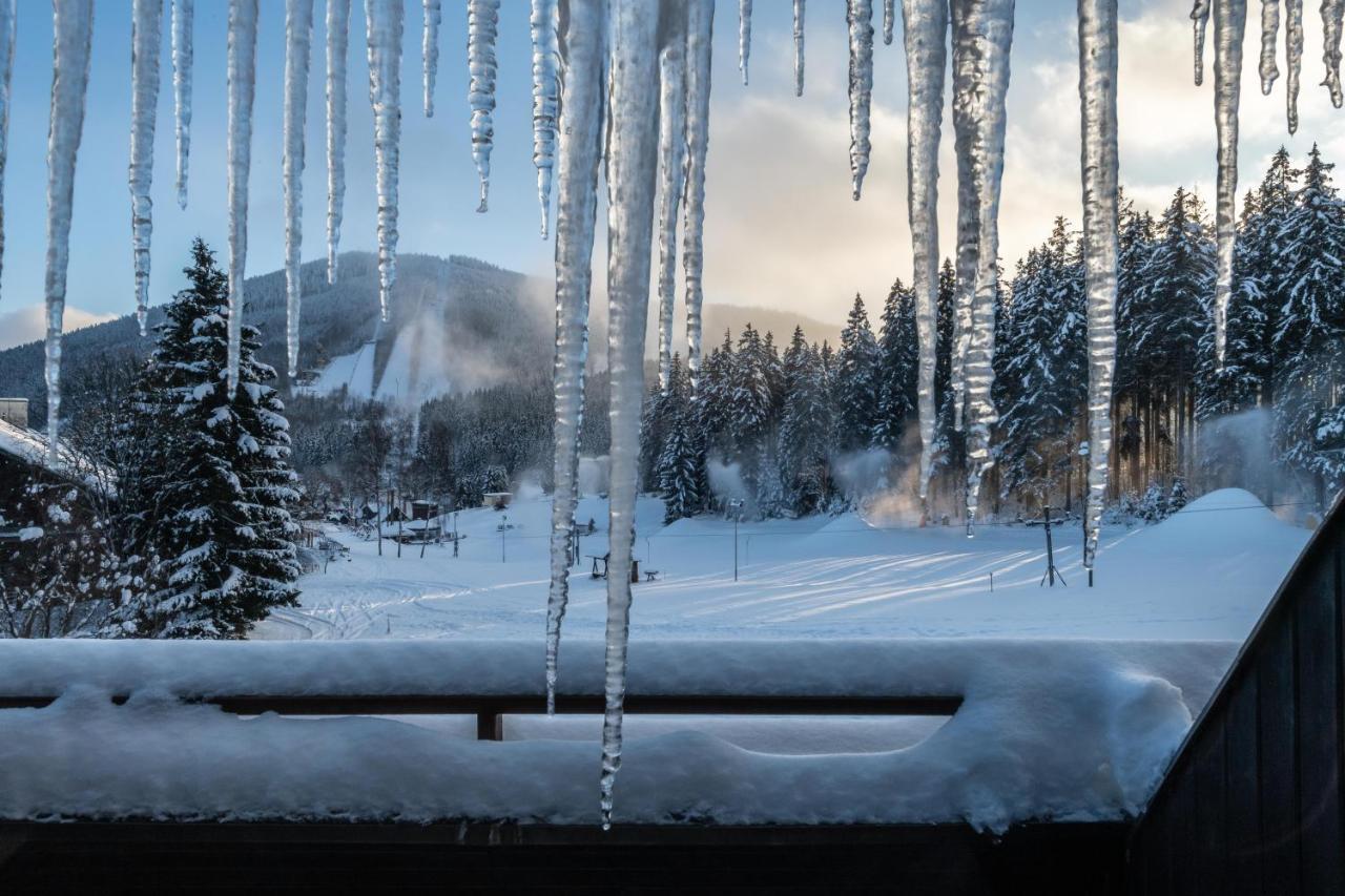 Wellness Hotel Sedy Vlk Harrachov Dış mekan fotoğraf