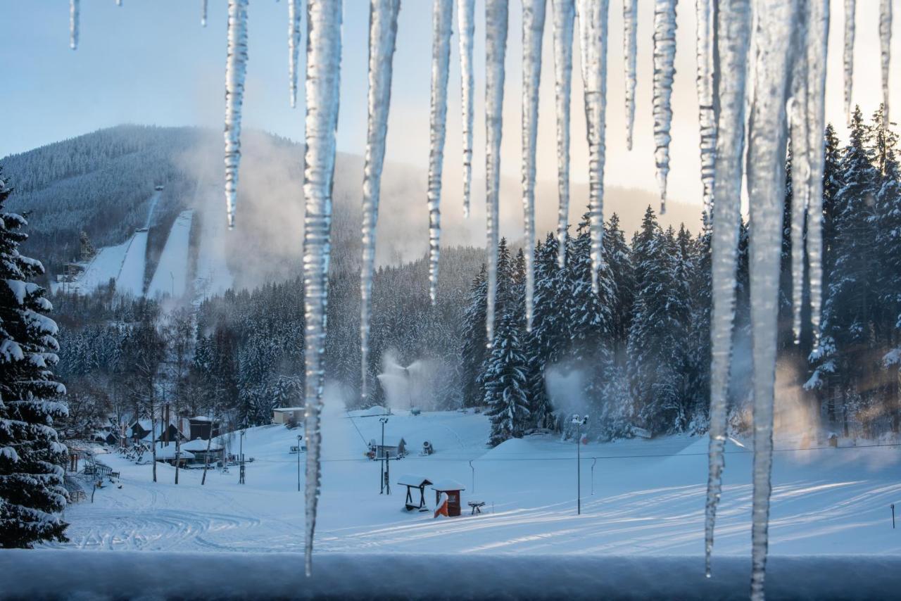 Wellness Hotel Sedy Vlk Harrachov Dış mekan fotoğraf