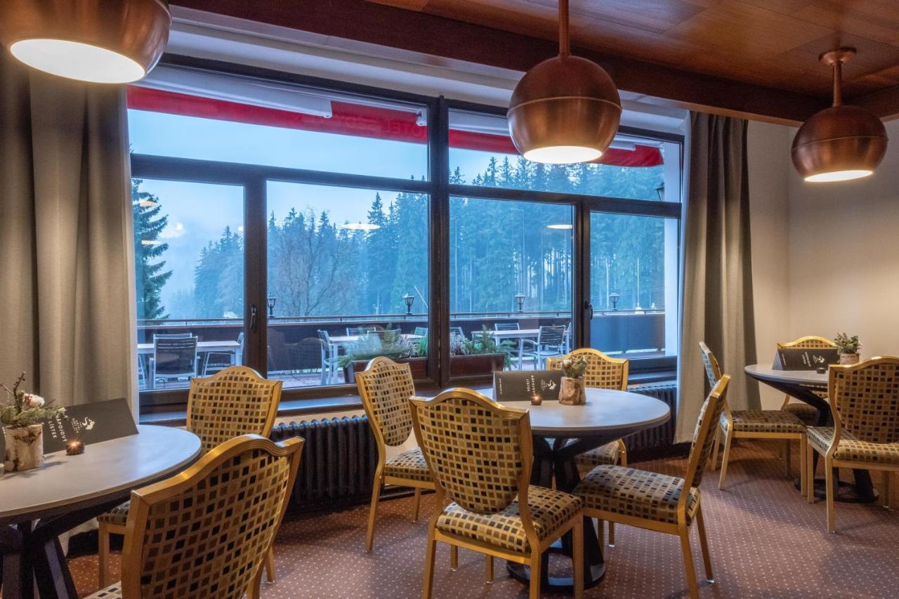 Wellness Hotel Sedy Vlk Harrachov Dış mekan fotoğraf