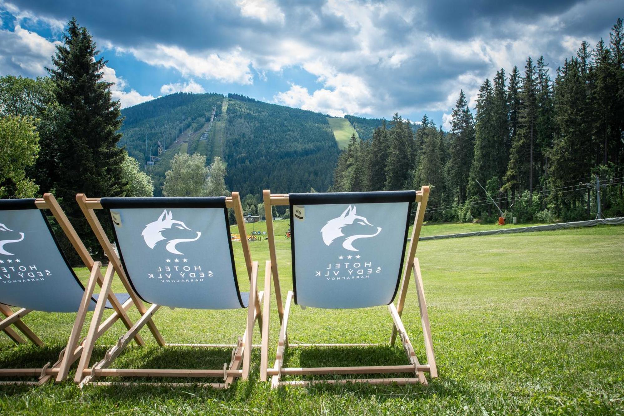 Wellness Hotel Sedy Vlk Harrachov Dış mekan fotoğraf